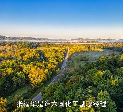 張福華是誰六國化工副總經理