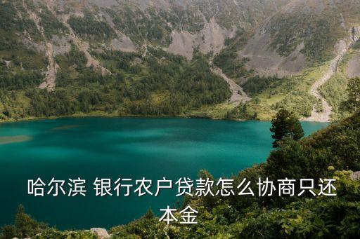  哈爾濱 銀行農戶貸款怎么協(xié)商只還本金