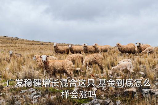 廣發(fā)穩(wěn)健增長混合這只 基金到底怎么樣會(huì)漲嗎