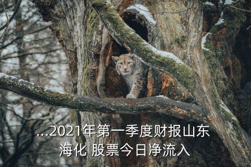 st?；善?海化股票歷史交易數(shù)據(jù)