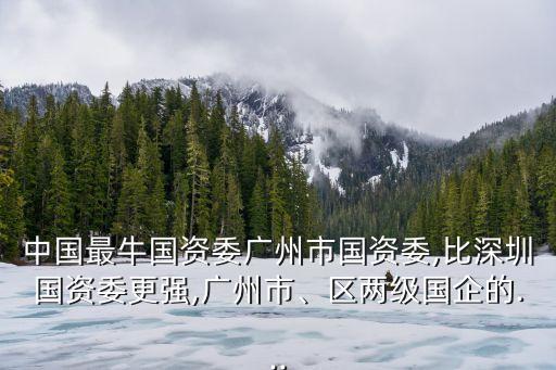 中國最牛國資委廣州市國資委,比深圳國資委更強(qiáng),廣州市、區(qū)兩級國企的...