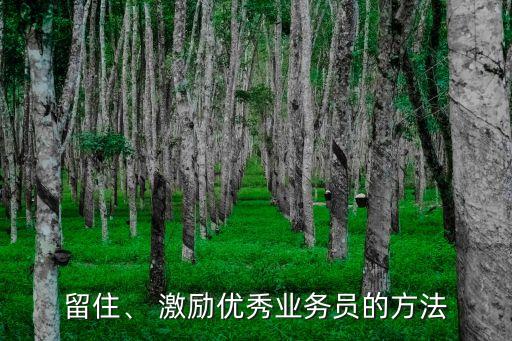 留住、 激勵(lì)優(yōu)秀業(yè)務(wù)員的方法