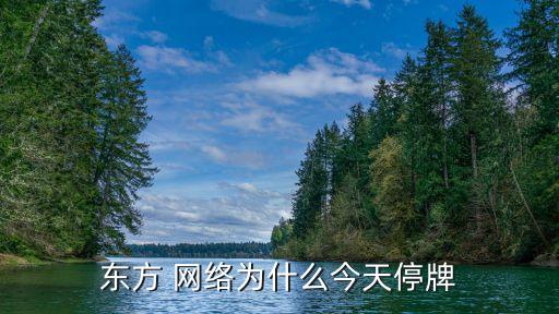 東方 網(wǎng)絡為什么今天停牌