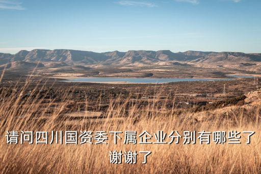 請(qǐng)問四川國(guó)資委下屬企業(yè)分別有哪些了謝謝了