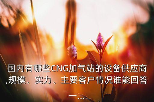 國內(nèi)有哪些CNG加氣站的設(shè)備供應(yīng)商,規(guī)模、實(shí)力、主要客戶情況誰能回答一...