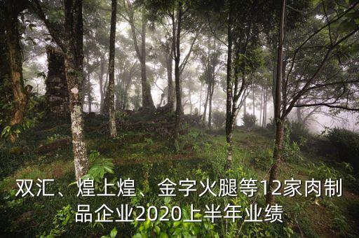 雙匯、煌上煌、金字火腿等12家肉制品企業(yè)2020上半年業(yè)績