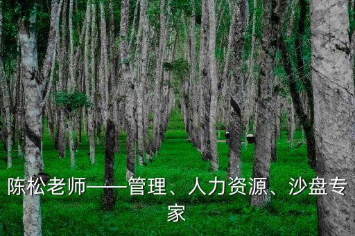 陳松老師——管理、人力資源、沙盤專家