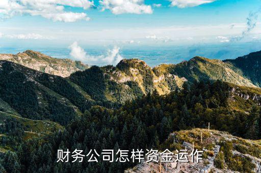 財務(wù)公司怎樣資金運(yùn)作