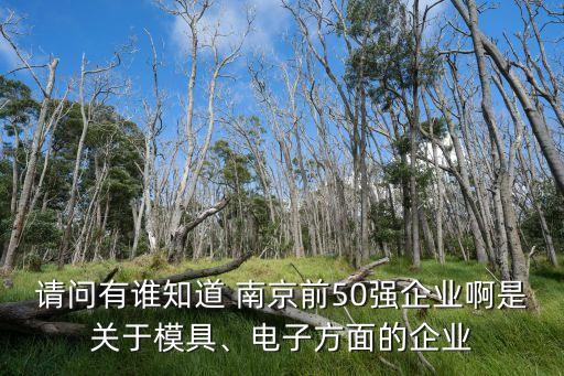 請問有誰知道 南京前50強企業(yè)啊是關于模具、電子方面的企業(yè)