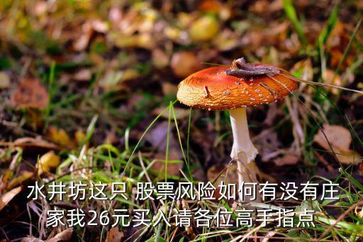  水井坊這只 股票風(fēng)險如何有沒有莊家我26元買入請各位高手指點(diǎn)