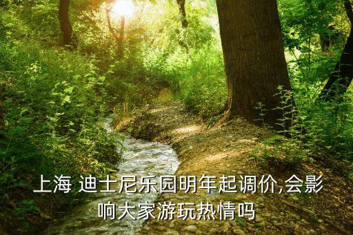 上海 迪士尼樂園明年起調價,會影響大家游玩熱情嗎