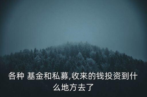 各種 基金和私募,收來(lái)的錢(qián)投資到什么地方去了