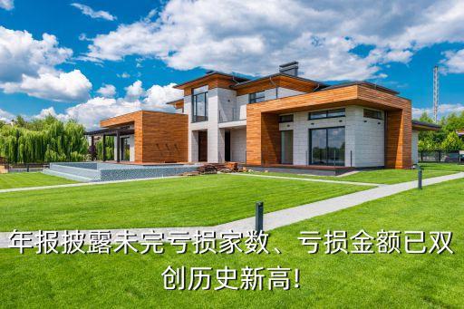 年報(bào)披露未完虧損家數(shù)、虧損金額已雙創(chuàng)歷史新高!