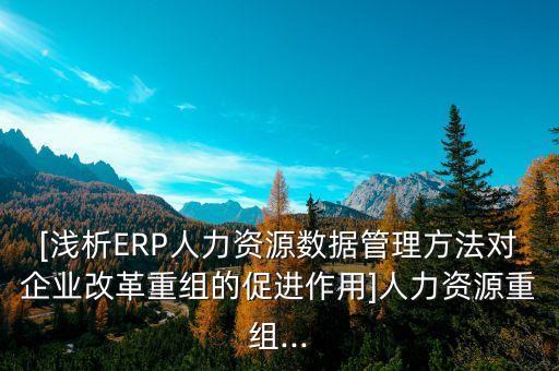 [淺析ERP人力資源數據管理方法對企業(yè)改革重組的促進作用]人力資源重組...
