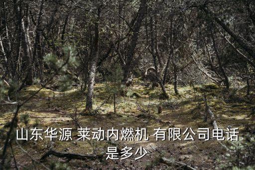 山東華源 萊動(dòng)內(nèi)燃機(jī) 有限公司電話(huà)是多少