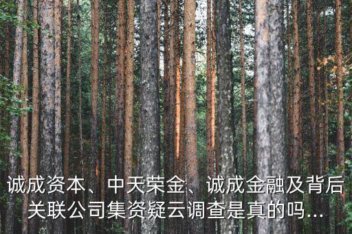 誠(chéng)成資本、中天榮金、誠(chéng)成金融及背后關(guān)聯(lián)公司集資疑云調(diào)查是真的嗎...