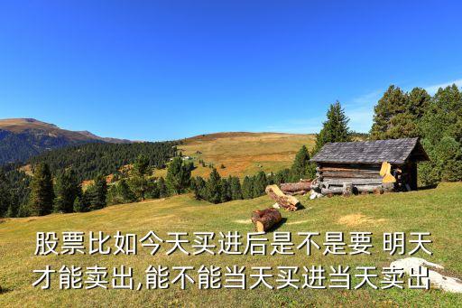  股票比如今天買進后是不是要 明天才能賣出,能不能當(dāng)天買進當(dāng)天賣出