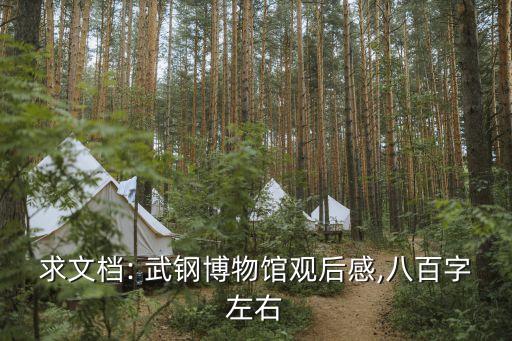 求文檔: 武鋼博物館觀(guān)后感,八百字左右