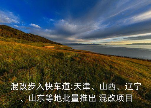 混改步入快車道:天津、山西、遼寧、山東等地批量推出 混改項目