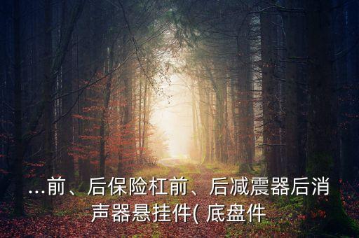 ...前、后保險(xiǎn)杠前、后減震器后消聲器懸掛件( 底盤件