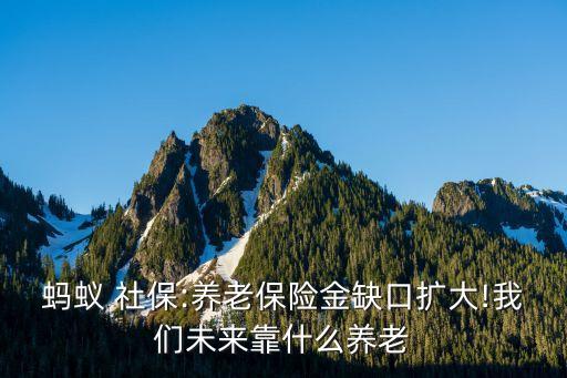 社?；痣p軌制