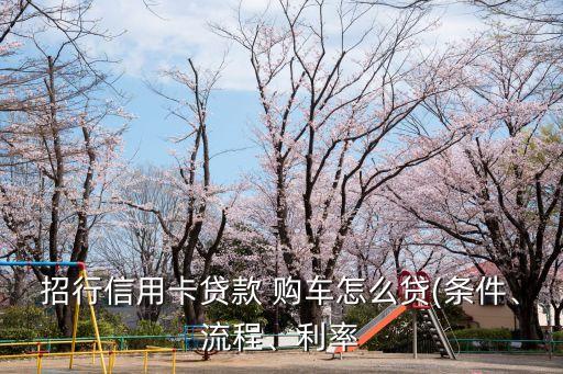 招行信用卡貸款 購(gòu)車(chē)怎么貸(條件、流程、利率