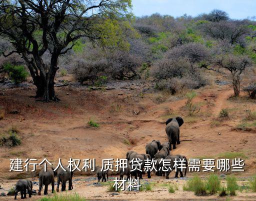 建行個人權利 質押貸款怎樣需要哪些材料