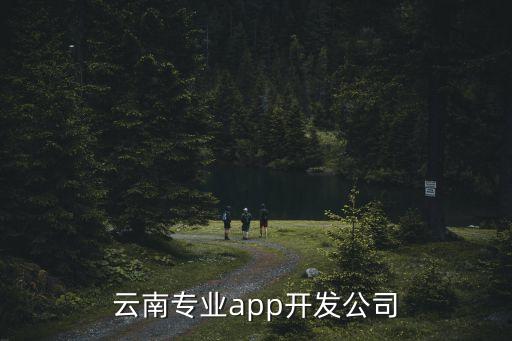 云南專業(yè)app開(kāi)發(fā)公司
