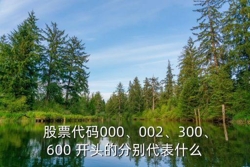  股票代碼000、002、300、600 開頭的分別代表什么