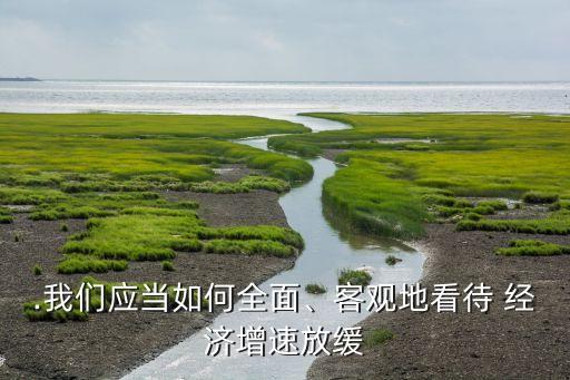 .我們應(yīng)當(dāng)如何全面、客觀地看待 經(jīng)濟(jì)增速放緩