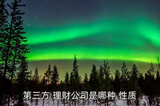 金融理財有限公司是什么性質的,國有資本運營有限公司是什么性質