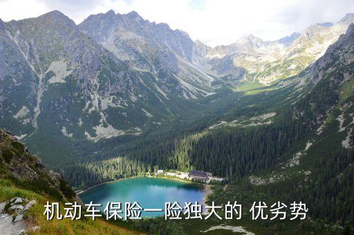 保險(xiǎn)公司競(jìng)爭(zhēng)對(duì)手有哪些優(yōu)劣勢(shì),如何判斷誰是保險(xiǎn)公司的競(jìng)爭(zhēng)對(duì)手
