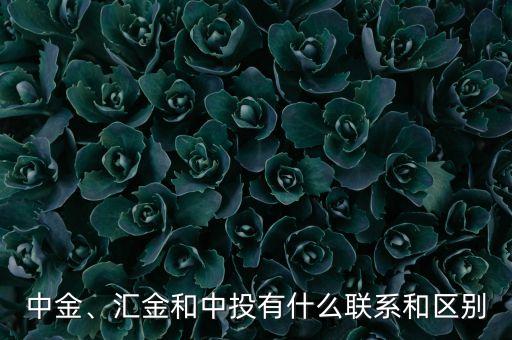 中金、匯金和中投有什么聯(lián)系和區(qū)別