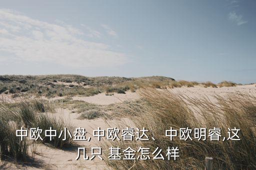 中歐中小盤,中歐睿達、中歐明睿,這幾只 基金怎么樣