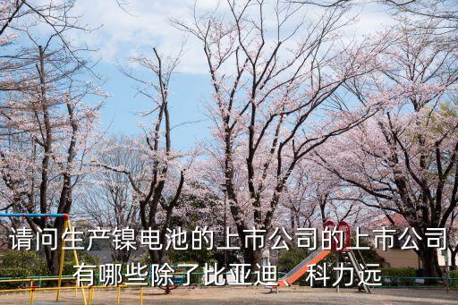 請問生產(chǎn)鎳電池的上市公司的上市公司有哪些除了比亞迪、科力遠