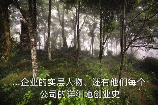 ...企業(yè)的實層人物、還有他們每個 公司的詳細地創(chuàng)業(yè)史