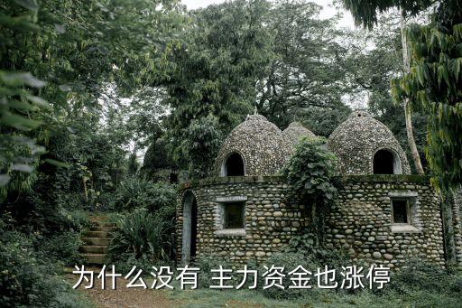 股票沒主力機(jī)構(gòu),股票里面主力、機(jī)構(gòu)分別是什么意思