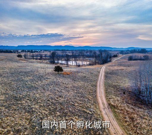 國內首個孵化城市