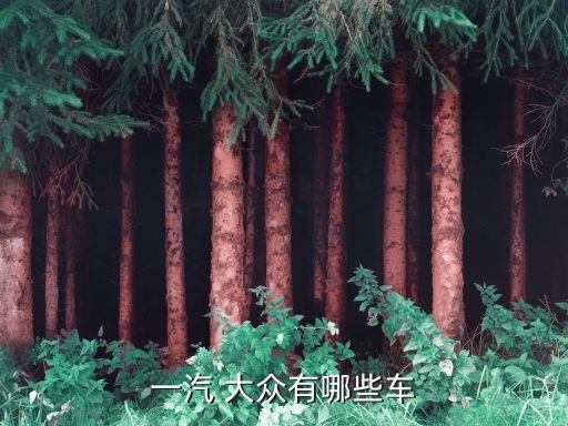 一汽 大眾有哪些車(chē)