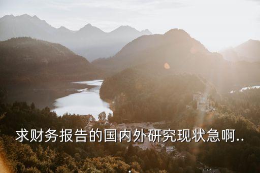 求財務報告的國內外研究現狀急啊...