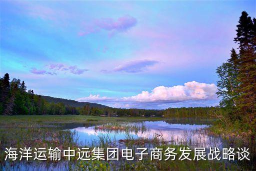 海洋運輸中遠(yuǎn)集團(tuán)電子商務(wù)發(fā)展戰(zhàn)略談