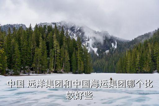 中國 遠(yuǎn)洋集團(tuán)和中國海運集團(tuán)哪個比較好些