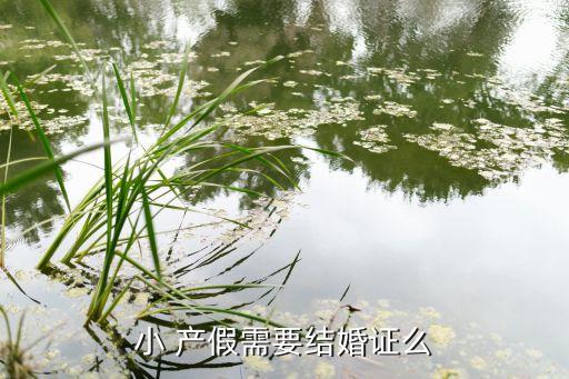 小 產假需要結婚證么