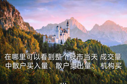 在哪里可以看到整個股市當天 成交量中散戶買入量、散戶賣出量、 機構(gòu)買...