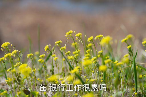 銀行處長(zhǎng)忙嗎,銀行的處長(zhǎng)是什么級(jí)別