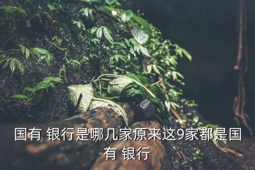 國(guó)有 銀行是哪幾家原來這9家都是國(guó)有 銀行