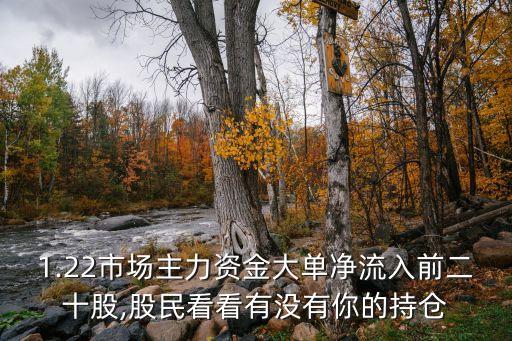 1.22市場(chǎng)主力資金大單凈流入前二十股,股民看看有沒有你的持倉(cāng)