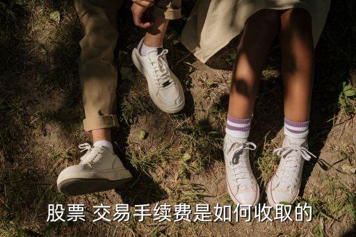 在線(xiàn)股票交易費(fèi)計(jì)算,股票交易成本怎么計(jì)算