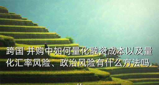 跨國(guó) 并購(gòu)中如何量化融資成本以及量化匯率風(fēng)險(xiǎn)、政治風(fēng)險(xiǎn)有什么方法嗎...