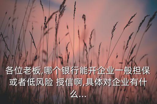 各位老板,哪個銀行能開企業(yè)一般擔?；蛘叩惋L險 授信啊,具體對企業(yè)有什么...